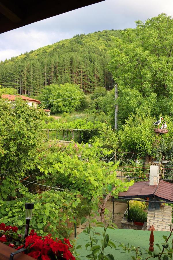 GREEN HOUSE - Попниколови Сапарева-Баня Экстерьер фото