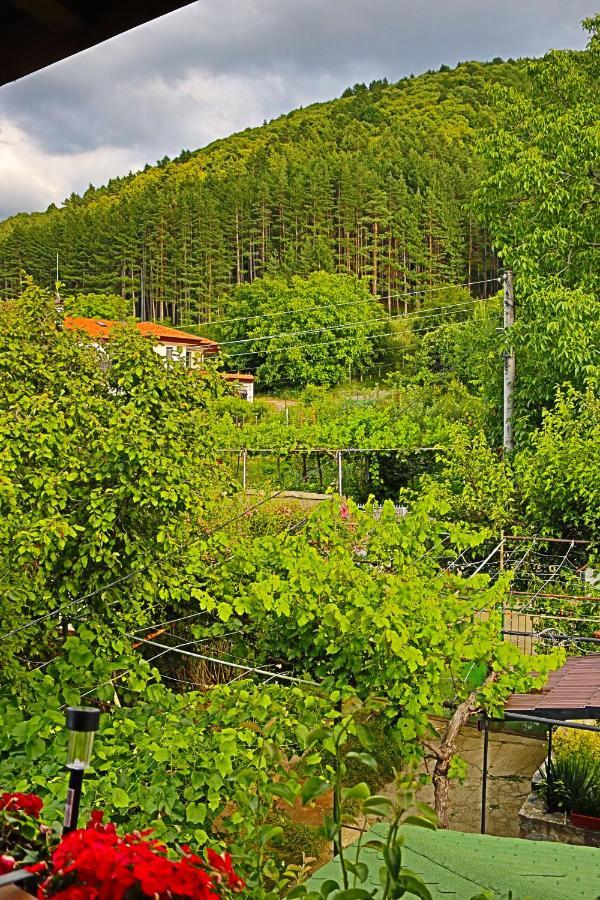 GREEN HOUSE - Попниколови Сапарева-Баня Экстерьер фото
